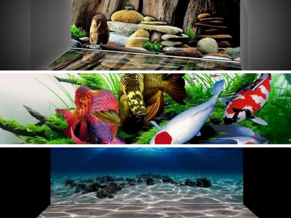Tranh 3D bể cá cảnh tại Hà Nội