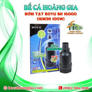 Bơm Tạt Boyu TH 16000 (16m3h 100w)