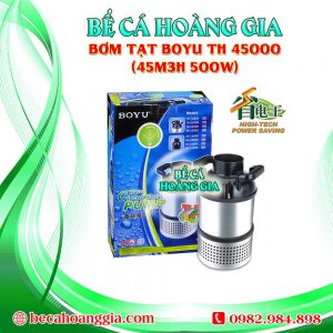 Bơm Tạt Boyu TH 45000 (45m3h 500w)