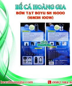 Bơm Tạt Boyu TH 16000 (16m3h 100w)