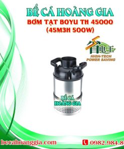 Bơm Tạt Boyu TH 45000 (45m3h 500w)