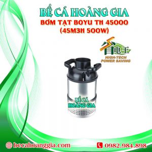 Bơm Tạt Boyu TH 45000 (45m3h 500w)