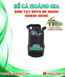 Bơm Tạt Boyu TH 16000 (16m3h 100w)