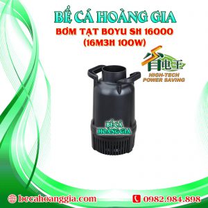 Bơm Tạt Boyu TH 16000 (16m3h 100w)