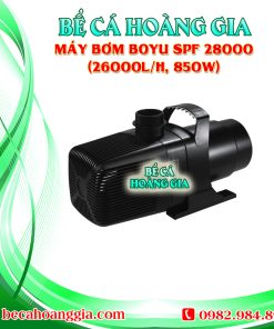 Máy bơm Boyu SPF 28000 (26000l/h, 850w)