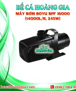 Máy bơm Boyu SPF 16000 (14000l/h, 245w)