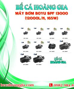 Máy bơm Boyu SPF 13000 (12000l/h, 165w)