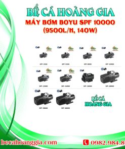 Máy bơm Boyu SPF 10000 (9500l/h, 140w)