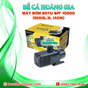 Máy bơm Boyu SPF 10000 (9500l/h, 140w)