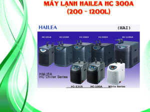 Máy lạnh Hailea HC 300A (200 – 1200L)