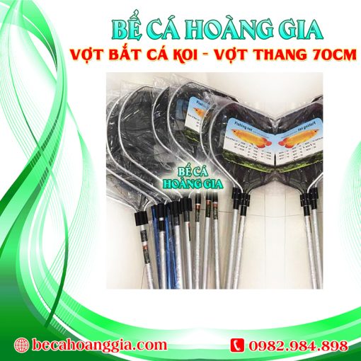 Vợt bắt cá koi – Vợt Thang 70CM