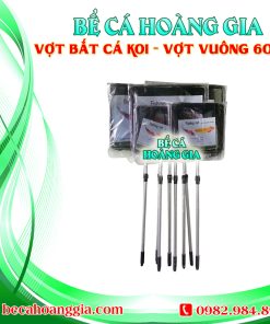 Vợt bắt cá koi – Vợt Vuông 60CM