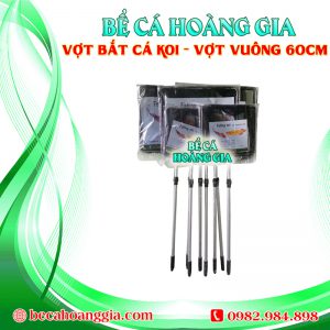 Vợt bắt cá koi – Vợt Vuông 60CM