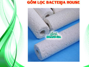 Gốm Lọc Bacteria house