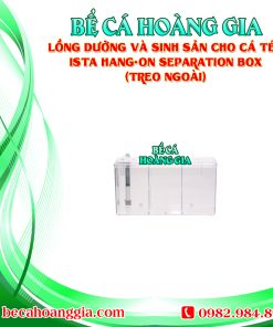 LỒNG DƯỠNG VÀ SINH SẢN CHO CÁ TÉP