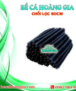 CHỔI LỌC 80CM