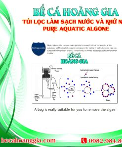 TÚI LỌC LÀM SẠCH NƯỚC VÀ KHỬ NO3 PURE AQUATIC ALGONE