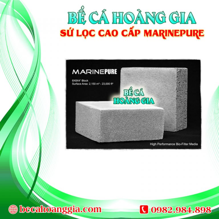 SỨ LỌC CAO CẤP MARINEPURE