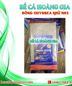 BÔNG ODYSSEA KHỬ NH3