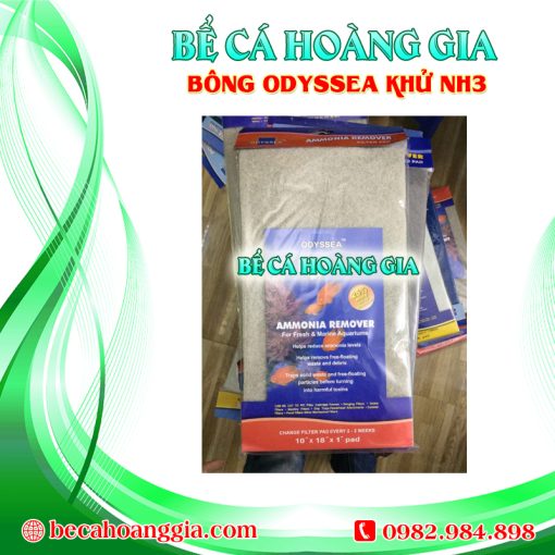 BÔNG ODYSSEA KHỬ NH3