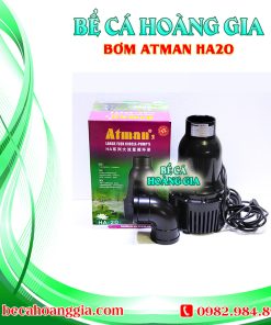 Bơm tạt Atman HA30