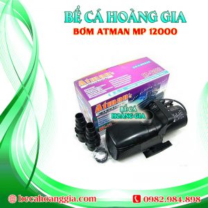 Bơm Atman MP 12000