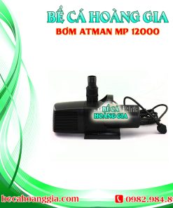 Bơm Atman MP 12000