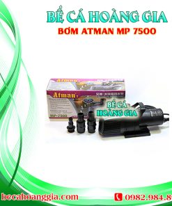 Bơm Atman MP 7500