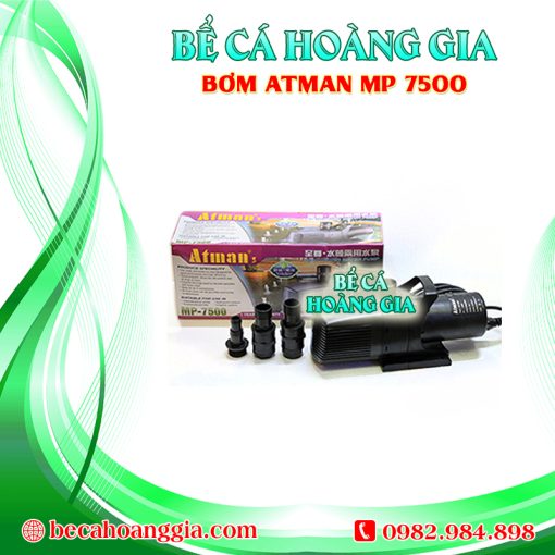 Bơm Atman MP 7500