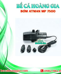 Bơm Atman MP 7500