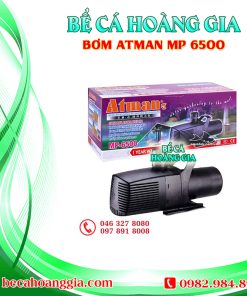 Bơm Atman MP 6500