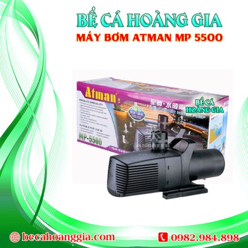 Máy bơm Atman MP 5500