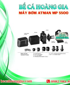 Máy bơm Atman MP 5500