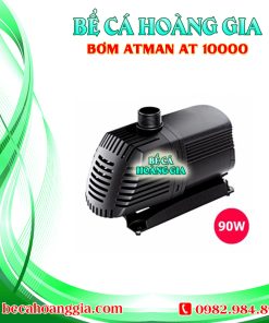 Bơm Atman AT 10000