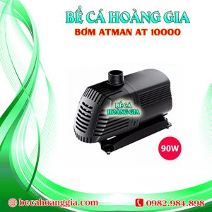 Bơm Atman AT 10000