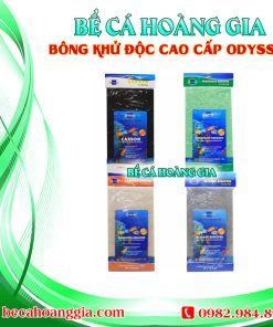 BÔNG KHỬ ĐỘC CAO CẤP ODYSSEA