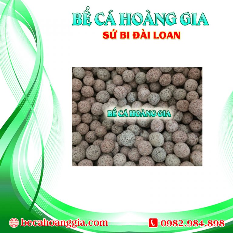 SỨ BI ĐÀI LOAN