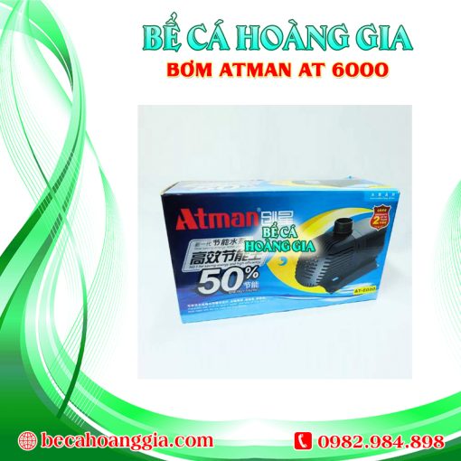 Bơm Atman AT6000