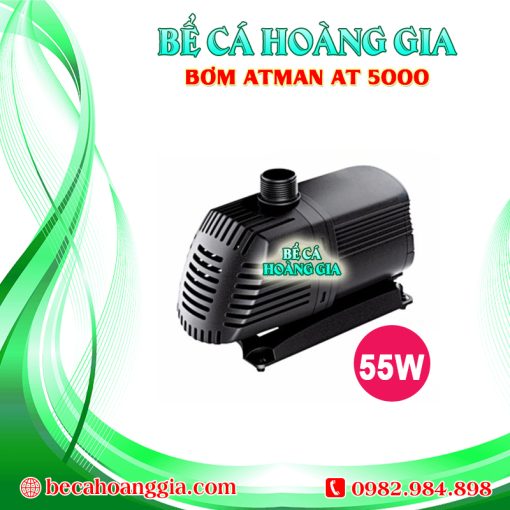 Bơm Atman AT5000