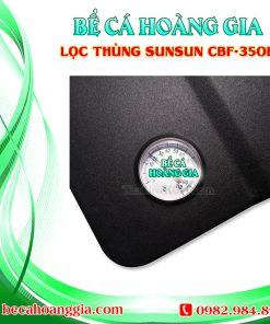 Lọc Thùng SunSun CBF-350B