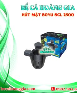 Hút mặt BOYU SCL 2500