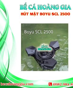 Hút mặt BOYU SCL 2500