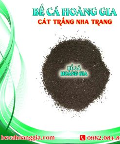 Cát trắng nha trang