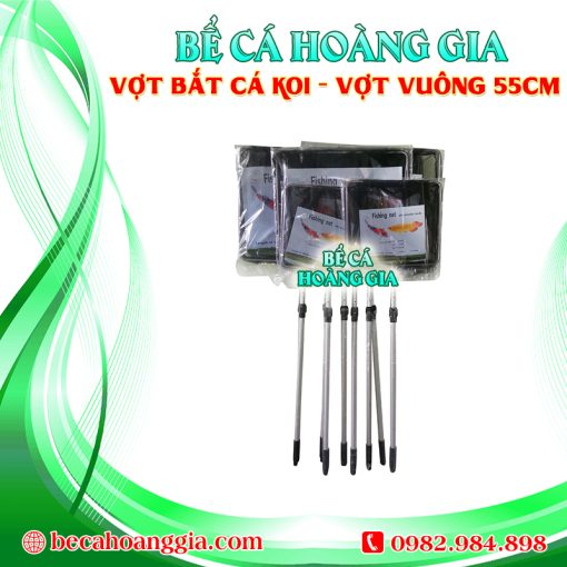 Vợt bắt cá koi – Vợt Vuông 55CM