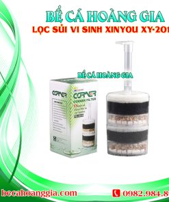 LỌC SỦI VI SINH XINYOU XY-2010