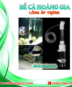 LỒNG ẤP TRỨNG