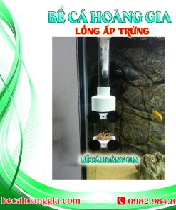 LỒNG ẤP TRỨNG