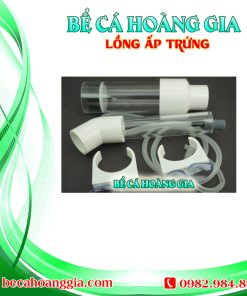 LỒNG ẤP TRỨNG