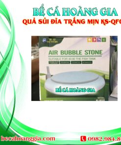 QUẢ SỦI ĐĨA TRẮNG MỊN KS-QF070