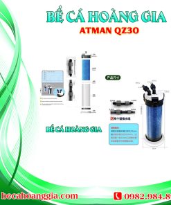 ATMAN QZ30